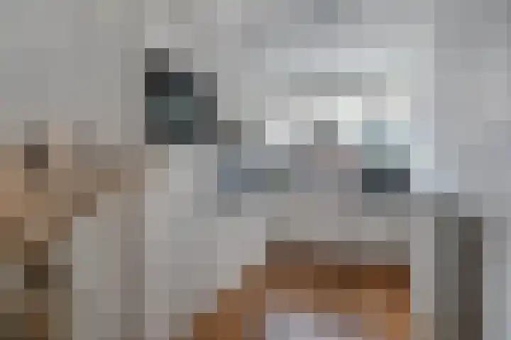 Bovenhof 3 Den Dungen thumbnail 8