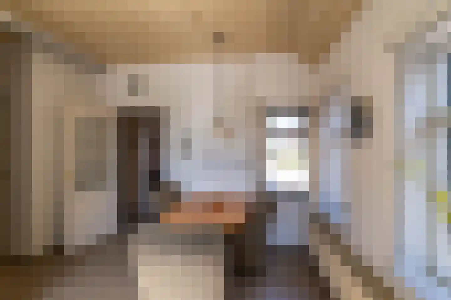 Bovenhuizen 21 Uithuizen thumbnail 10