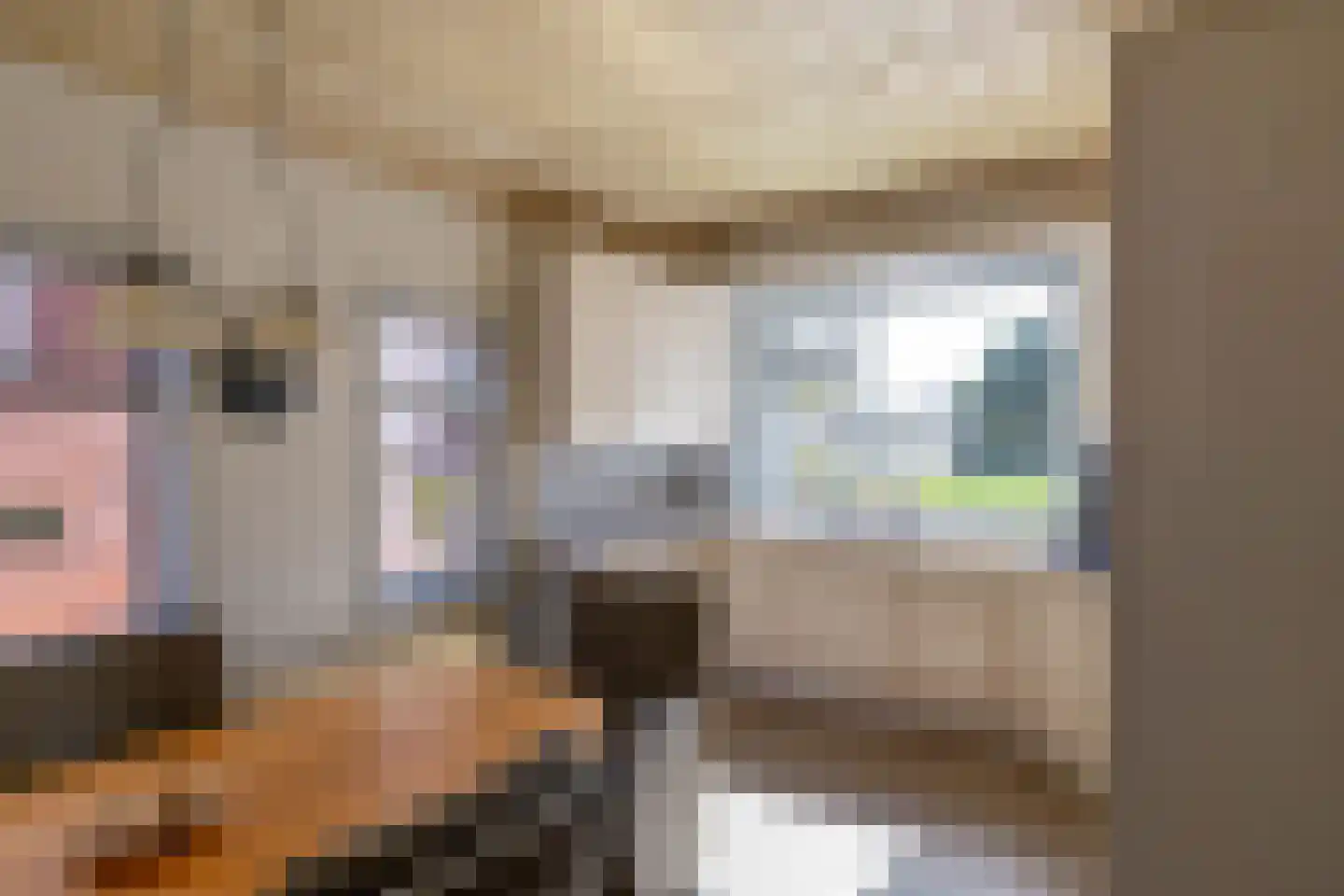 Bovenhuizen 21 Uithuizen thumbnail 12