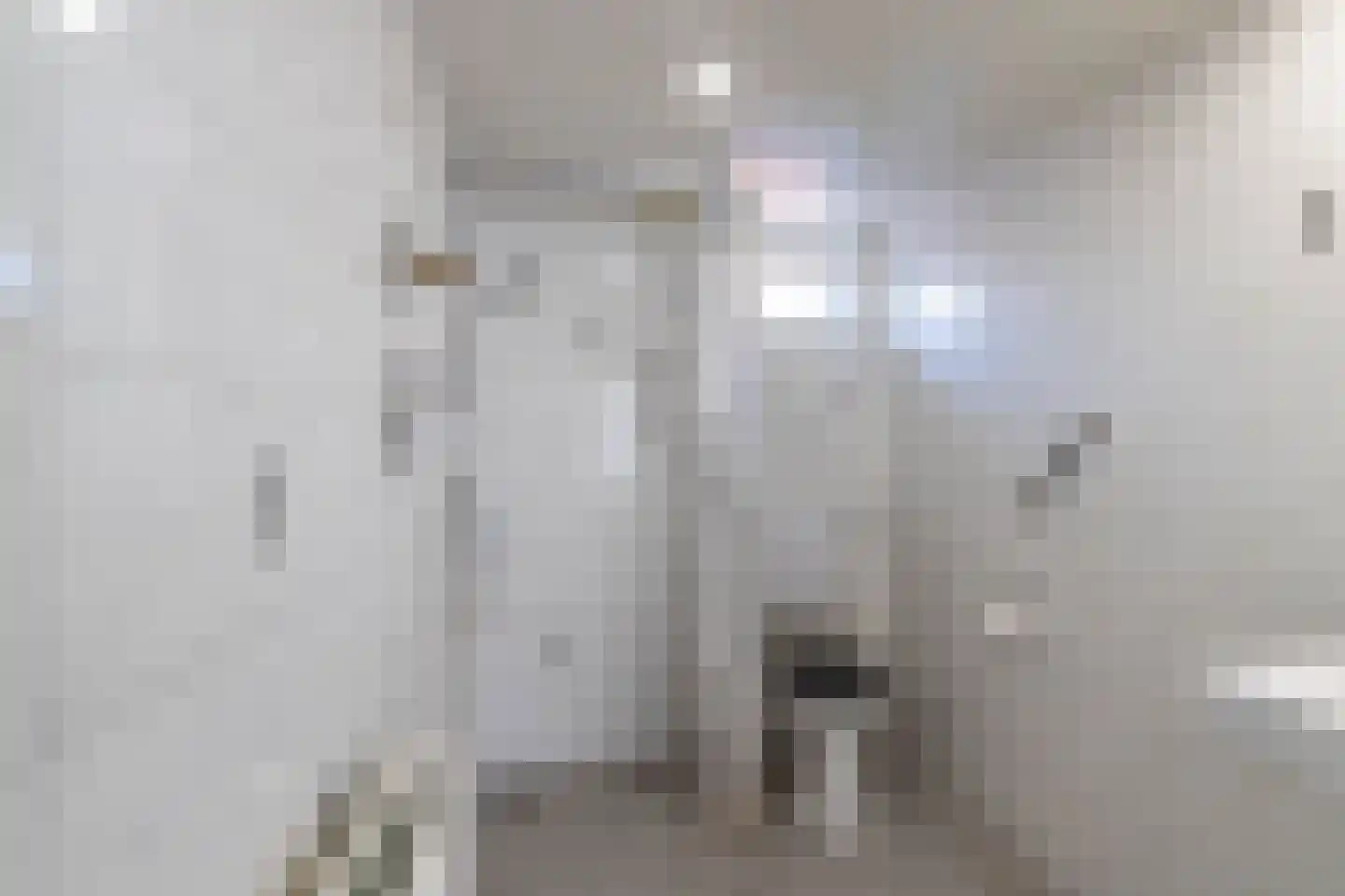 Bovenhuizen 21 Uithuizen thumbnail 17