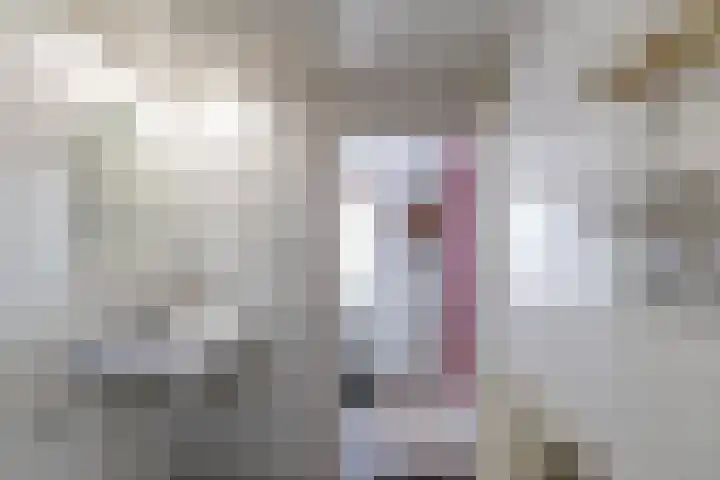Bovenhuizen 21 Uithuizen thumbnail 18