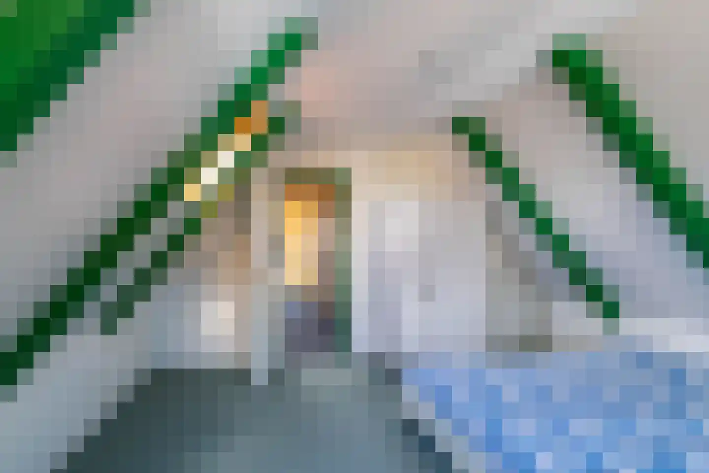Bovenhuizen 21 Uithuizen thumbnail 21