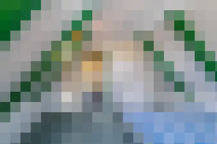 Bovenhuizen 21 Uithuizen thumbnail 21