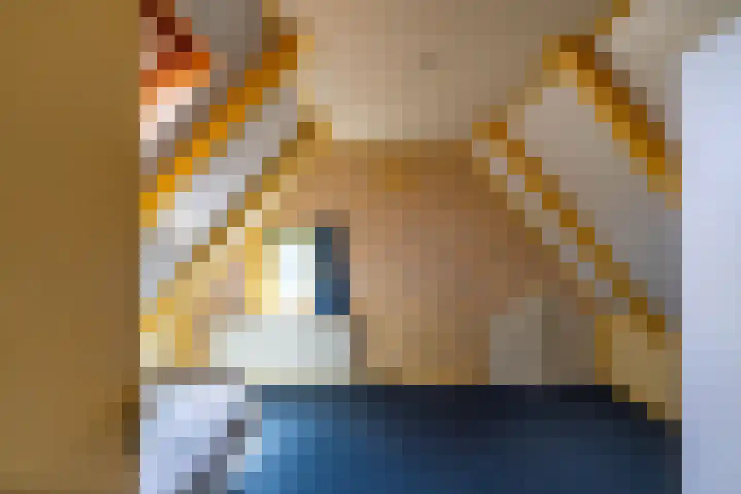 Bovenhuizen 21 Uithuizen thumbnail 25