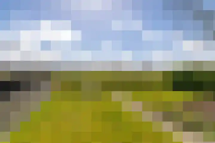 Bovenhuizen 21 Uithuizen thumbnail 32