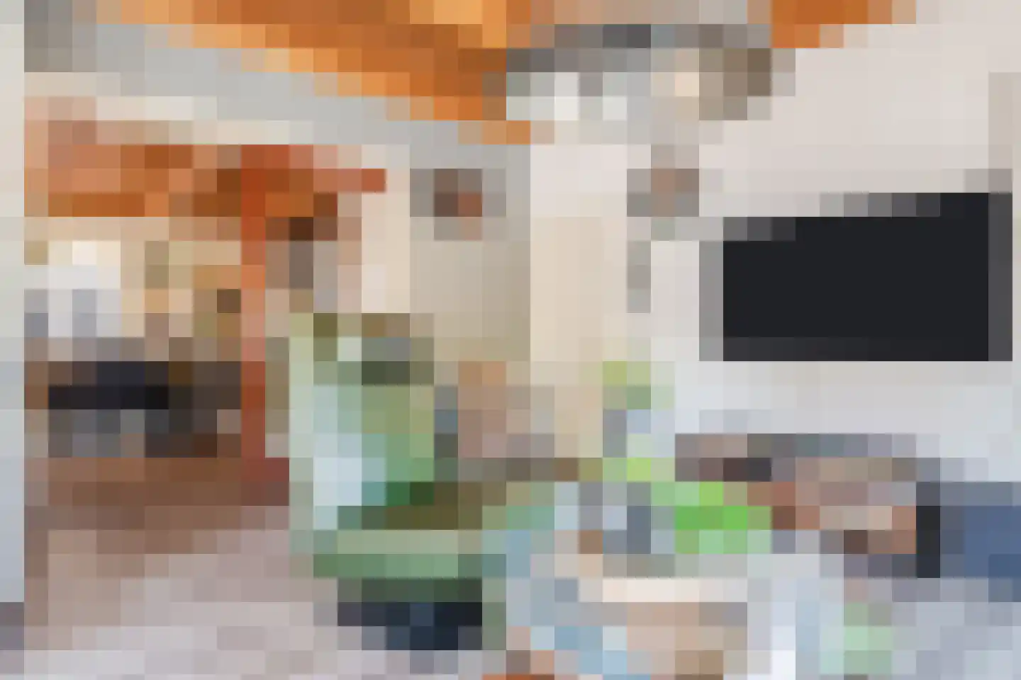 Bovenhuizen 25 Uithuizen thumbnail 12