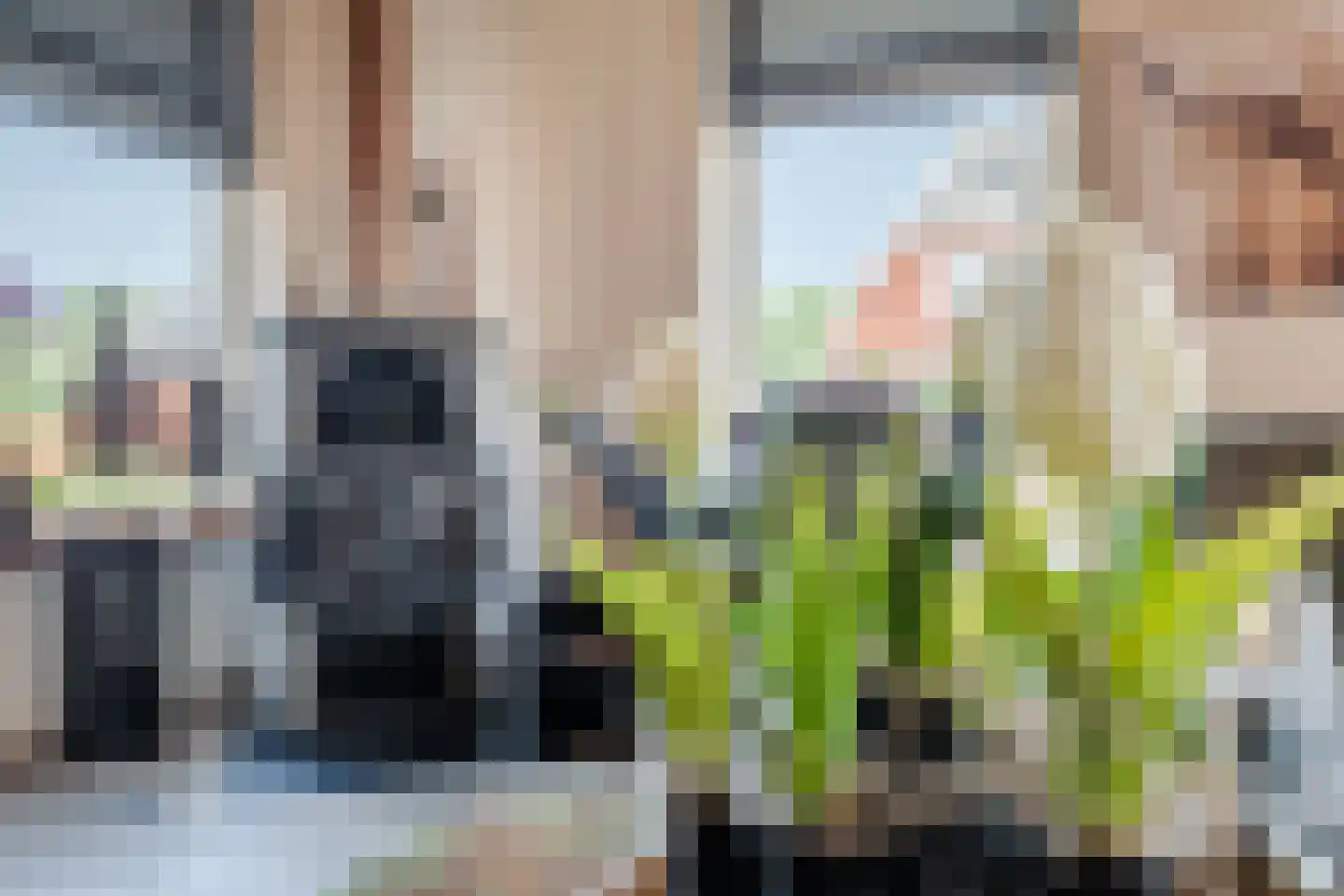 Bovenhuizen 25 Uithuizen thumbnail 14