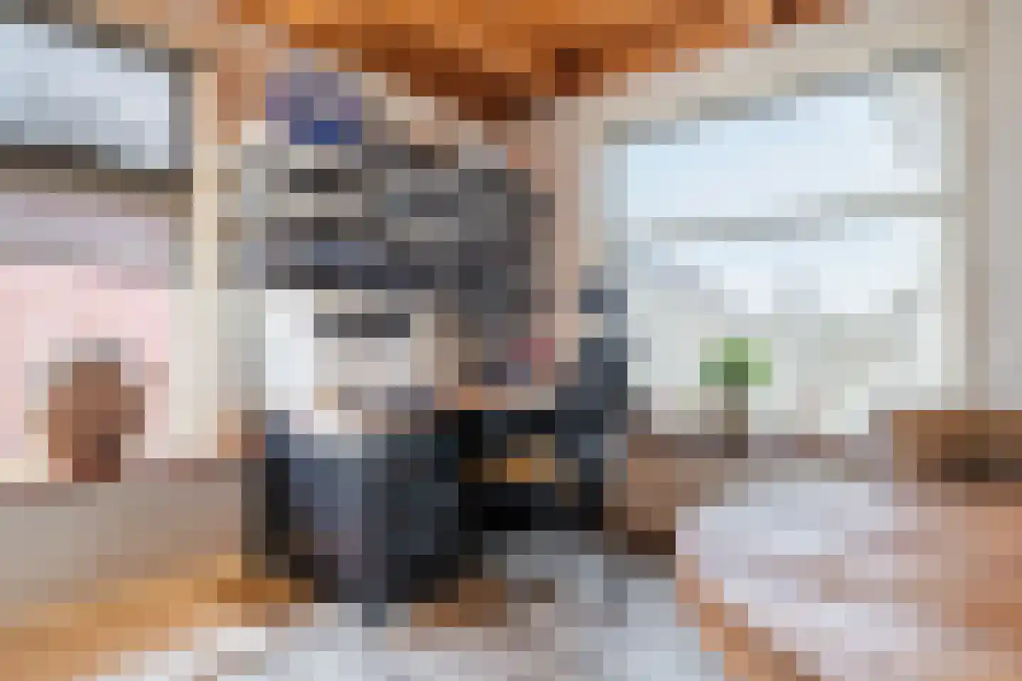 Bovenhuizen 25 Uithuizen thumbnail 18