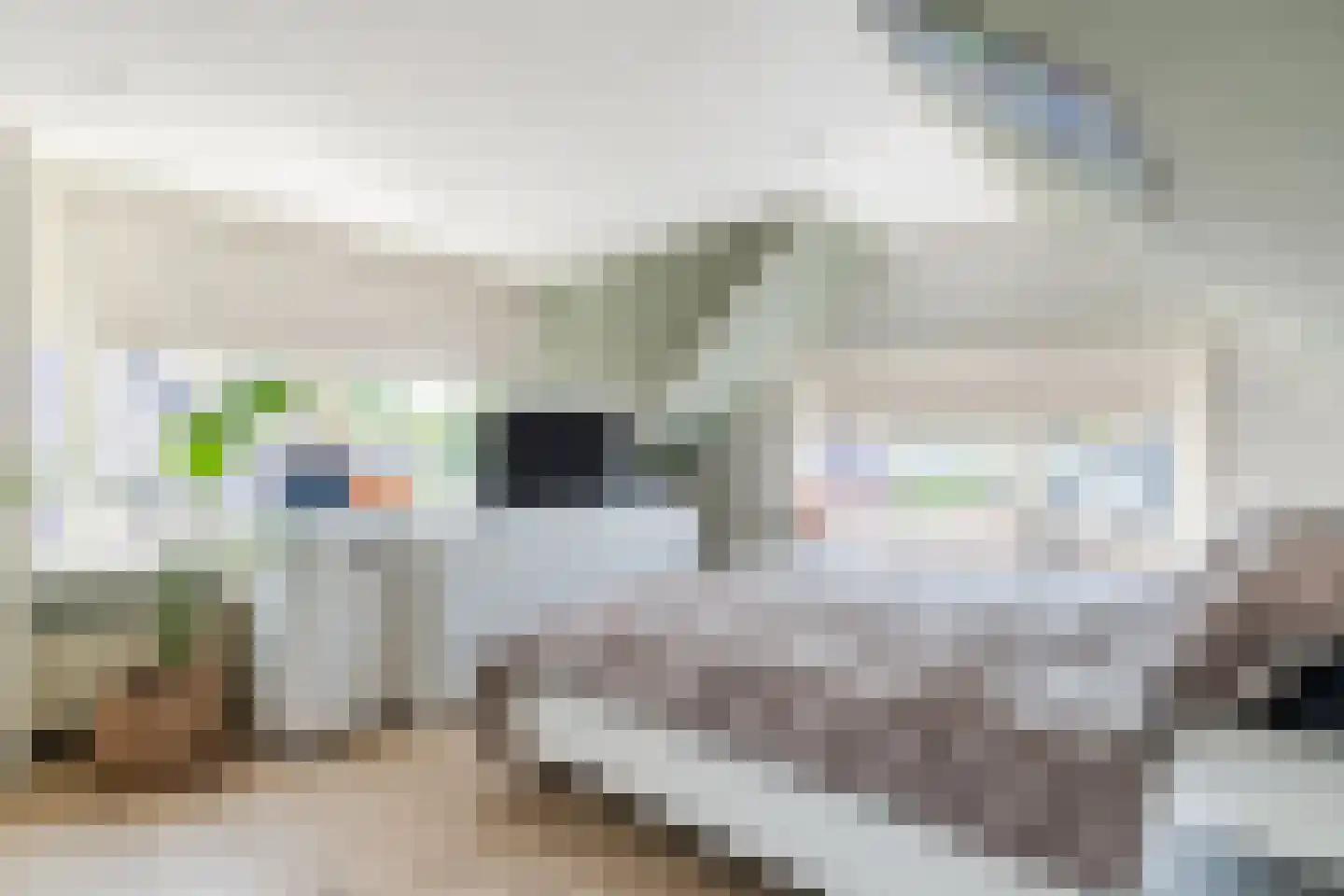 Bovenhuizen 25 Uithuizen thumbnail 30