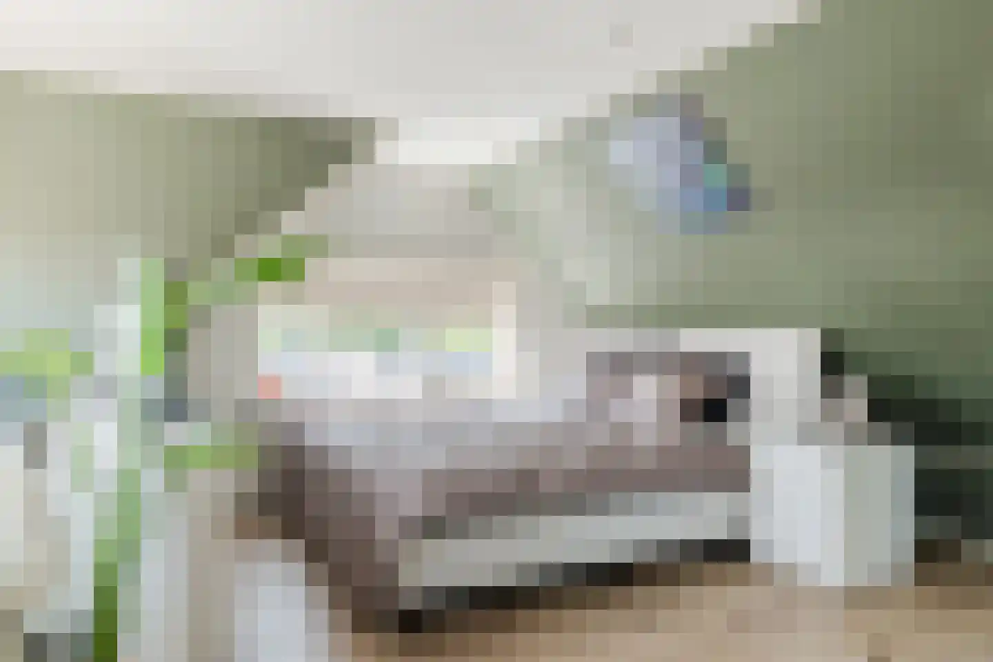 Bovenhuizen 25 Uithuizen thumbnail 31