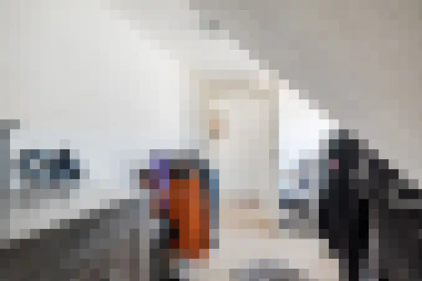 Bovenhuizen 25 Uithuizen thumbnail 35