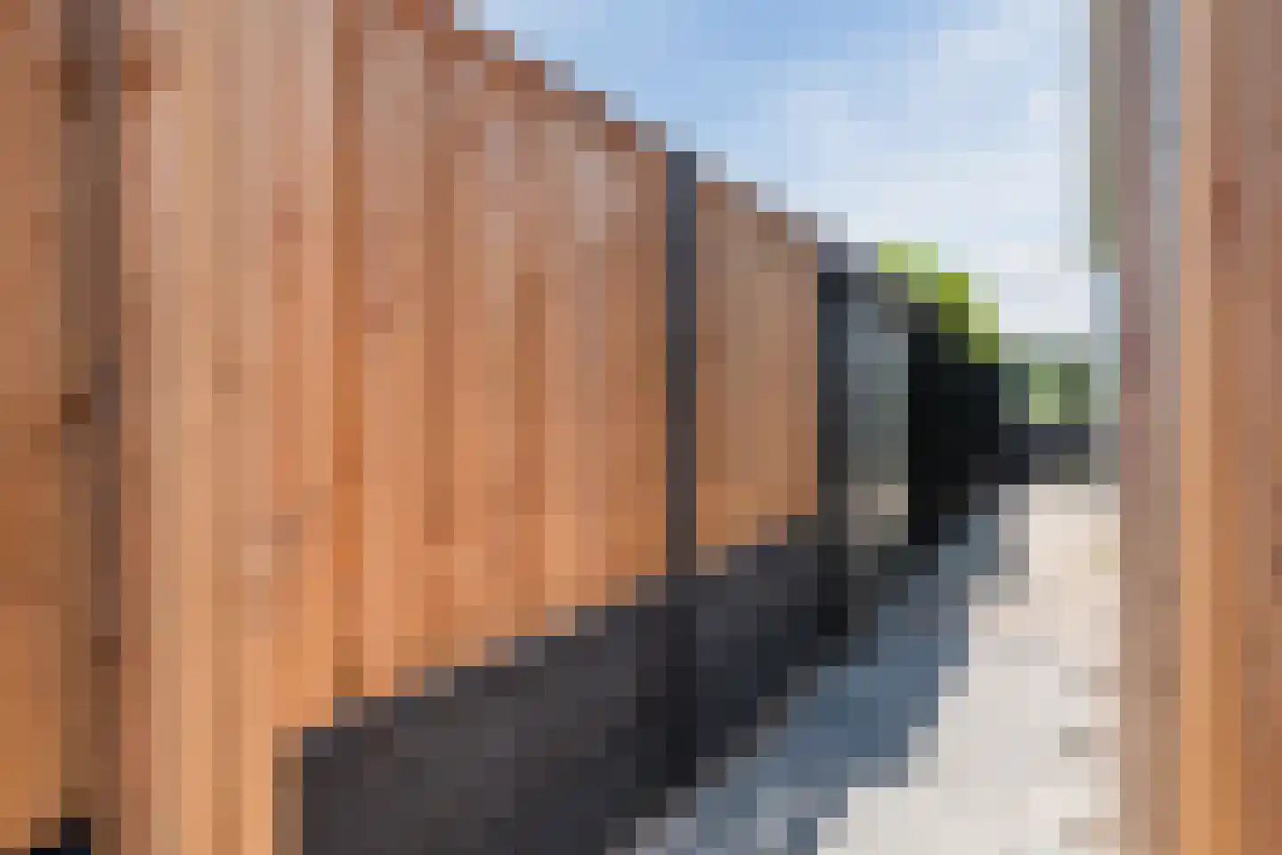 Bovenhuizen 25 Uithuizen thumbnail 50