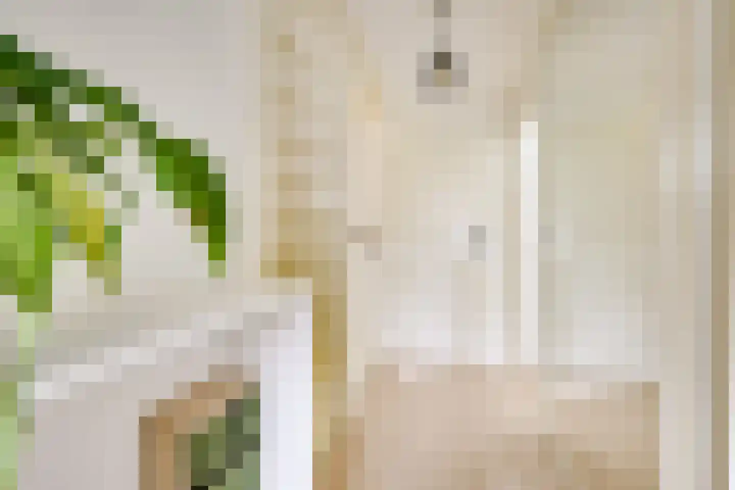 Bovenkamp 10 Werkhoven thumbnail 23