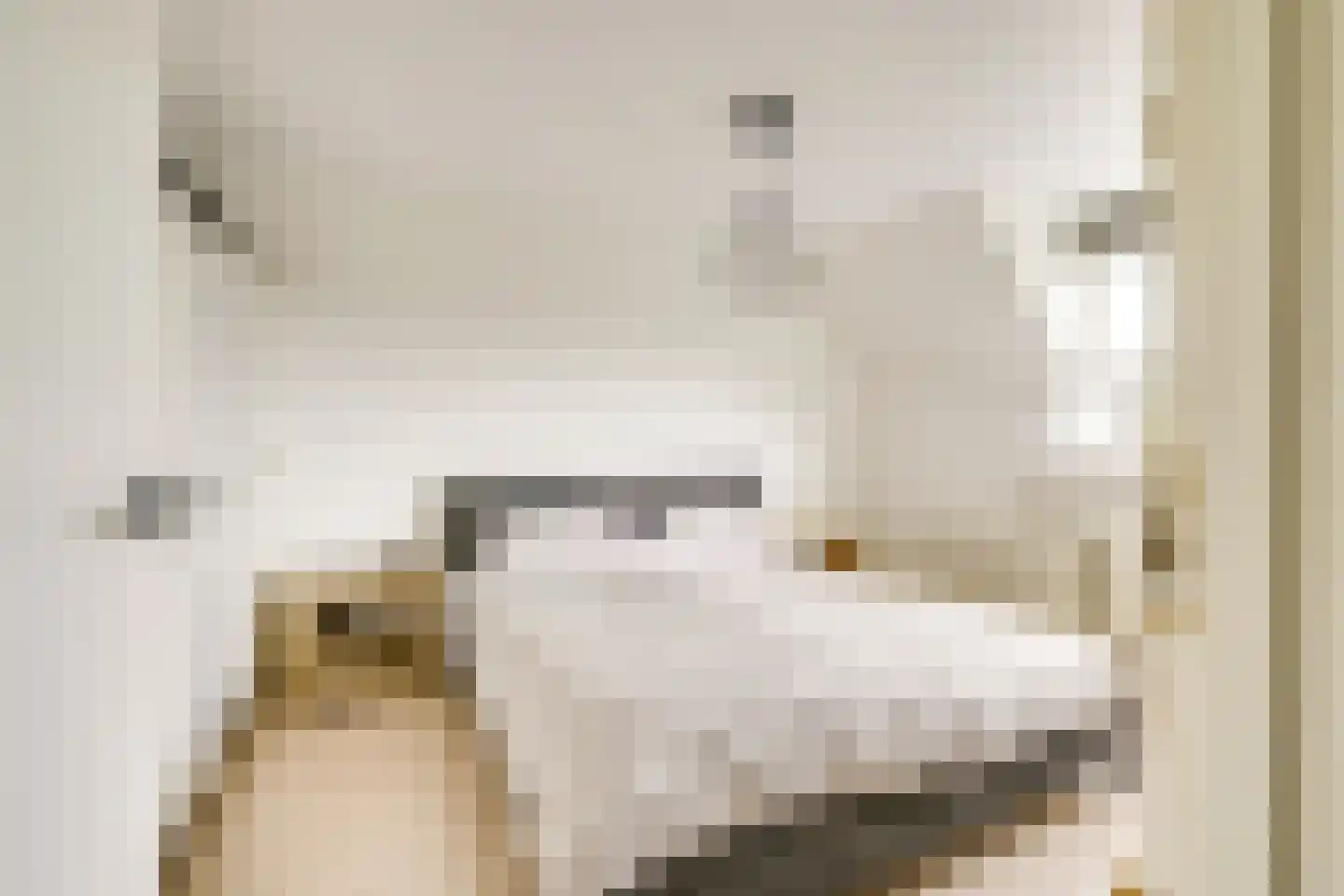 Bovenkamp 10 Werkhoven thumbnail 24