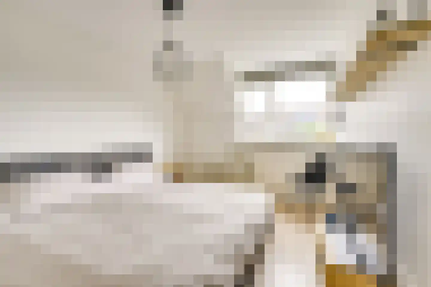 Bovenkamp 10 Werkhoven thumbnail 25