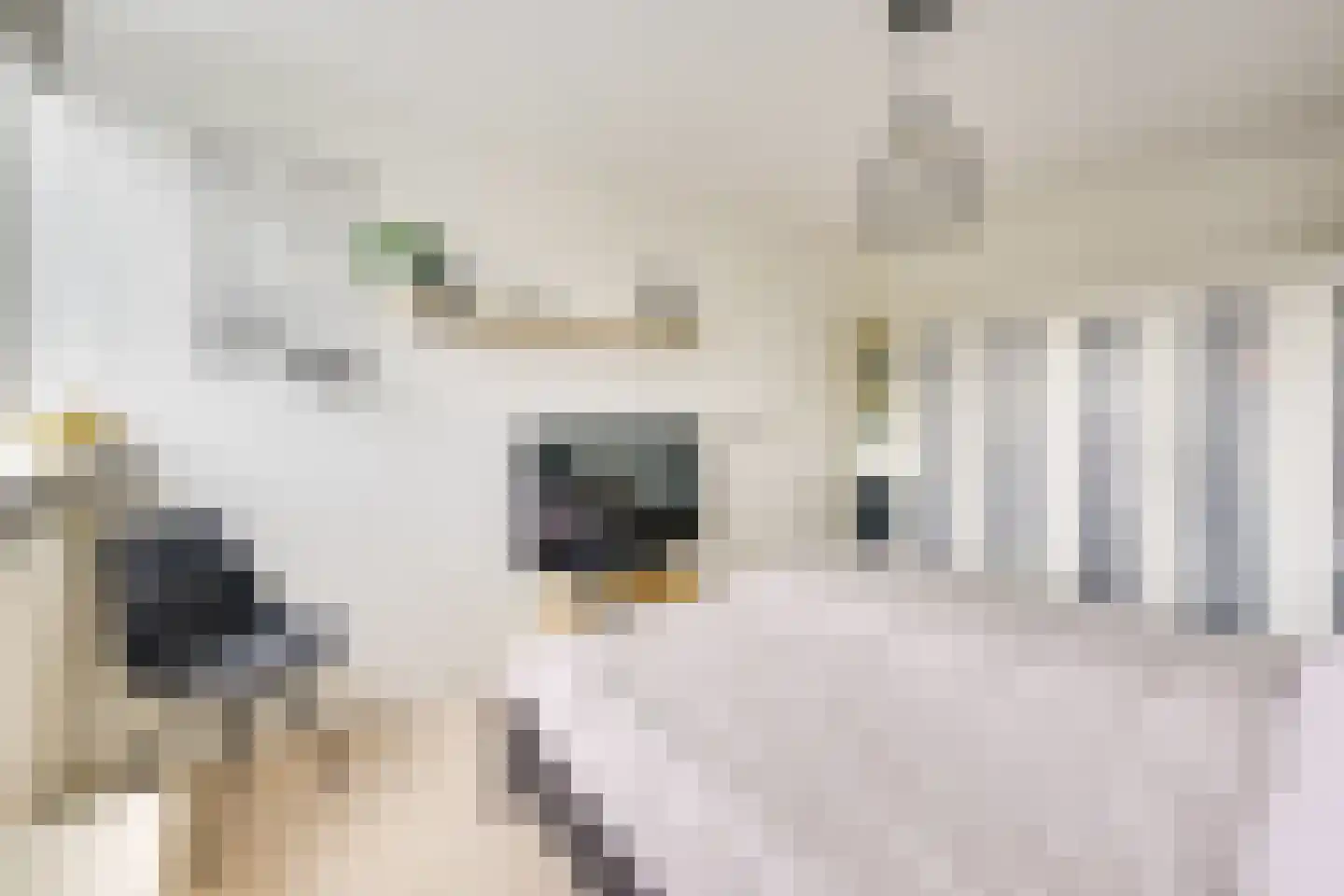 Bovenkamp 10 Werkhoven thumbnail 26