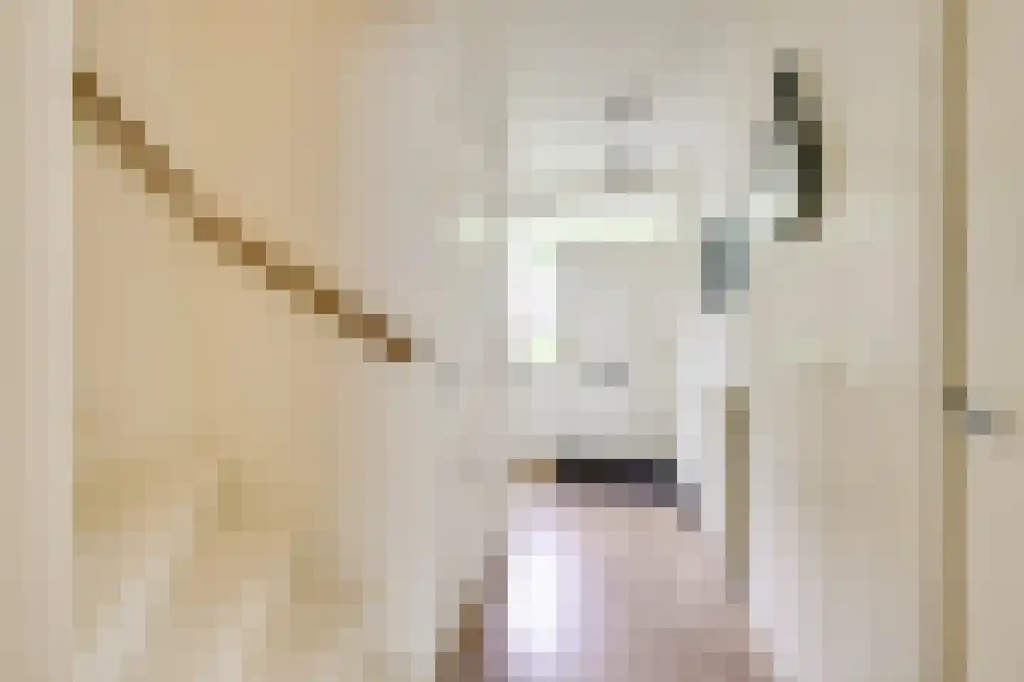 Bovenkamp 10 Werkhoven thumbnail 4
