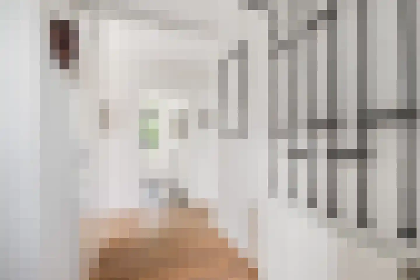 Bovenkerkseweg 102 Stolwijk thumbnail 20