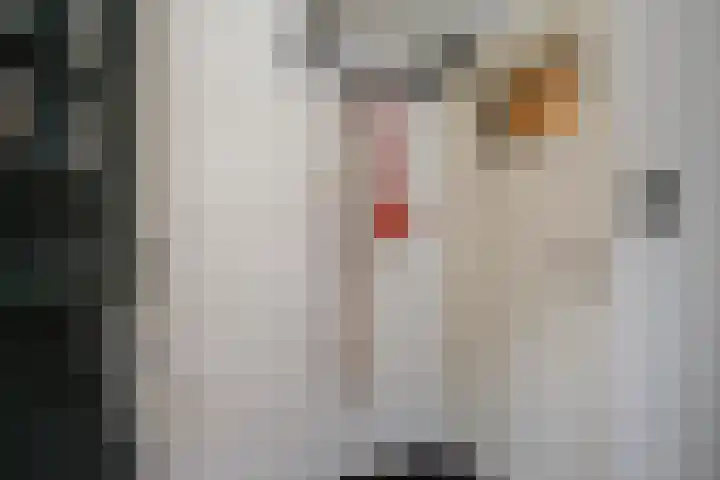 Bovenkerkseweg 32 Stolwijk thumbnail 7