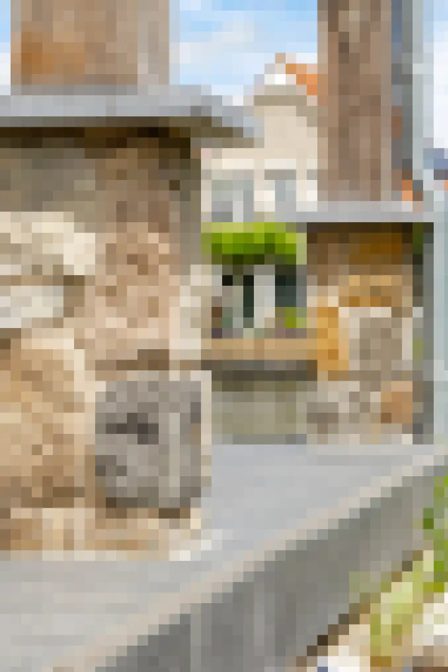 Bovenkerkseweg 33 Giessenburg thumbnail 53