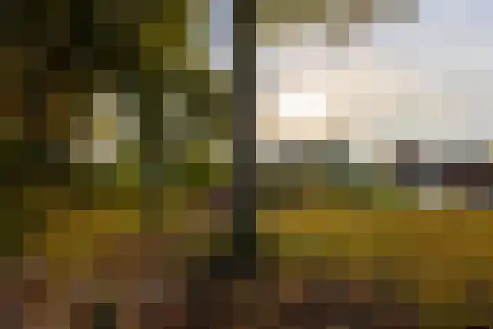 Bovenkerkseweg 34 Giessenburg thumbnail 34