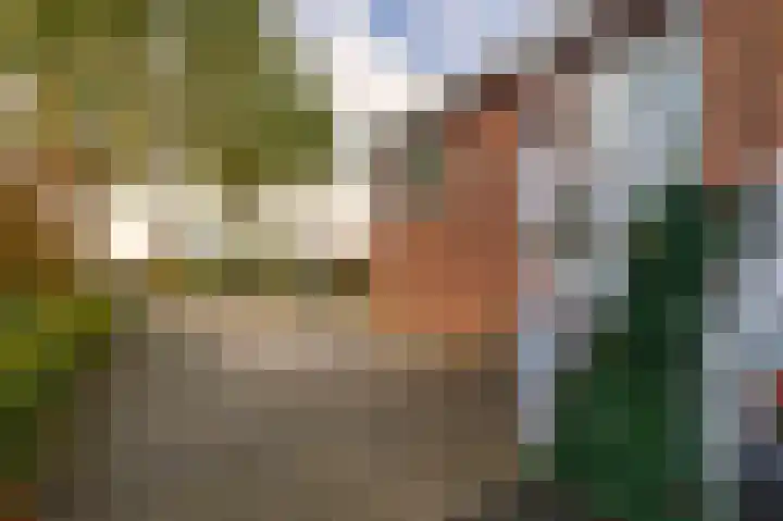 Bovenkerkseweg 34 Giessenburg thumbnail 5