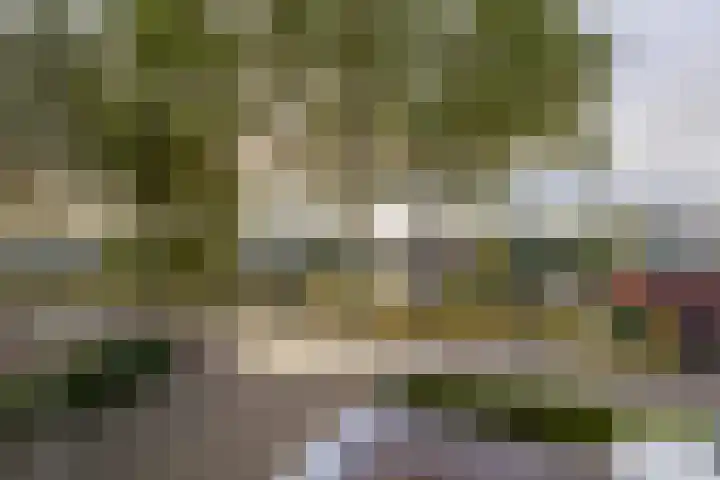 Bovenkerkseweg 34 Giessenburg thumbnail 6