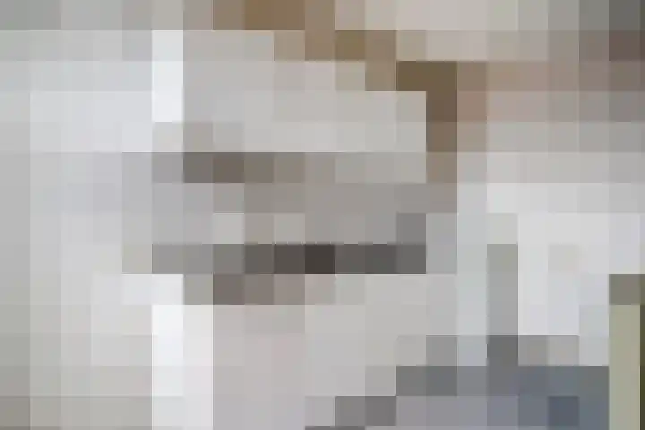 Bovenkerkseweg 4 d Stolwijk thumbnail 10