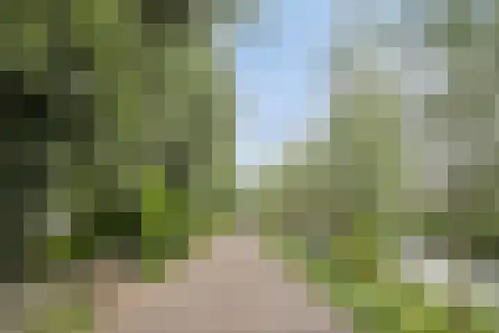 Bovenkerkseweg 4 d Stolwijk thumbnail 20