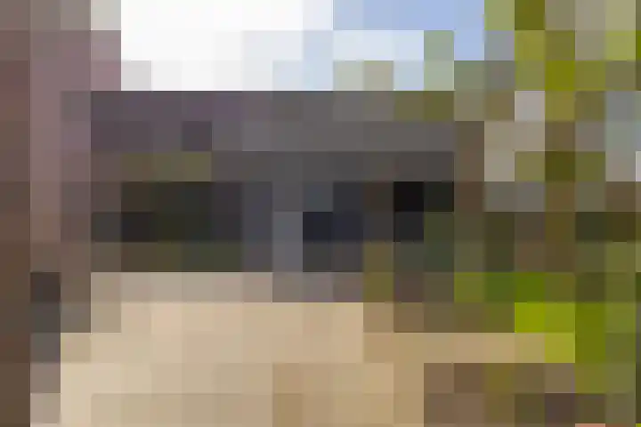 Bovenkerkseweg 68 Giessenburg thumbnail 37