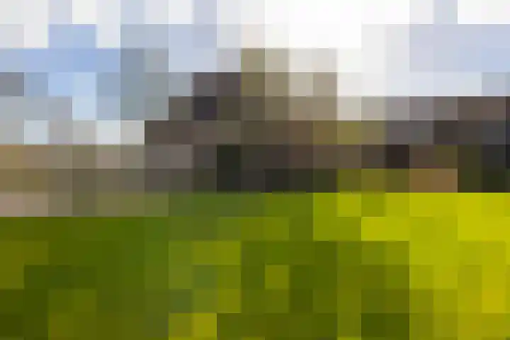 Bovenkerkseweg 68 Giessenburg thumbnail 43