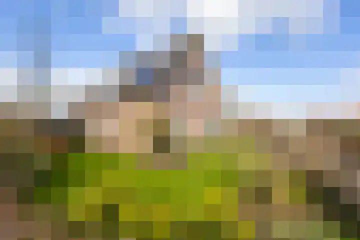 Bovenkerkseweg 68 Giessenburg thumbnail 7