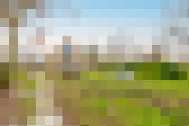 Bovenkerkseweg 86 Giessenburg thumbnail 9