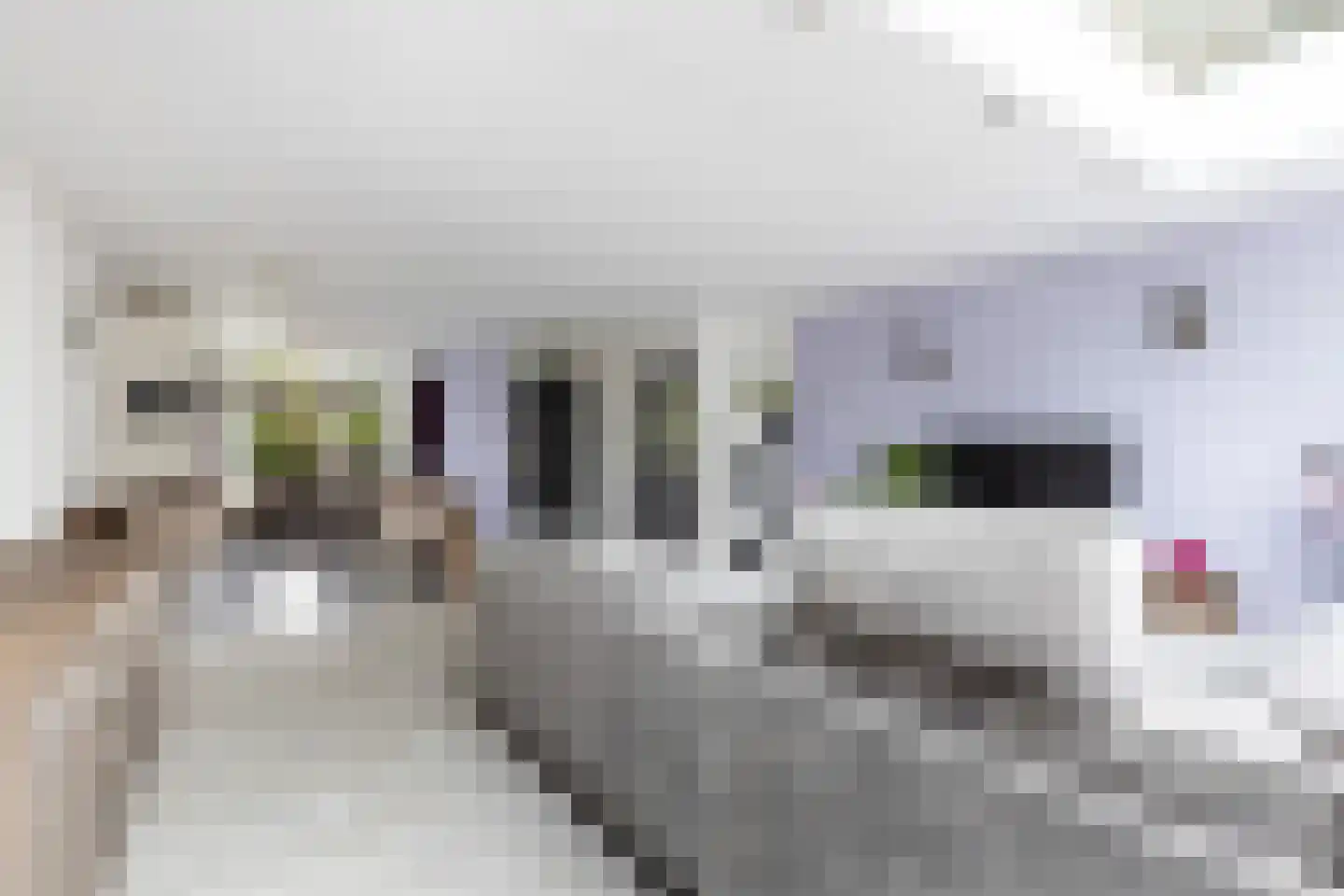 Bovenkerkweg 86 Montfoort thumbnail 10
