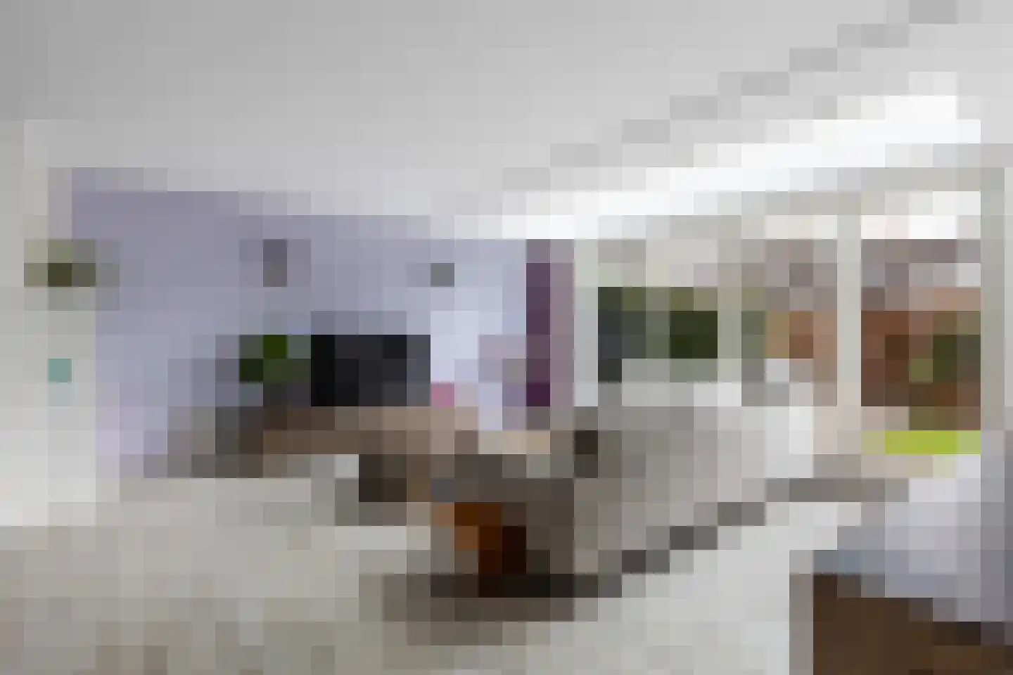 Bovenkerkweg 86 Montfoort thumbnail 7