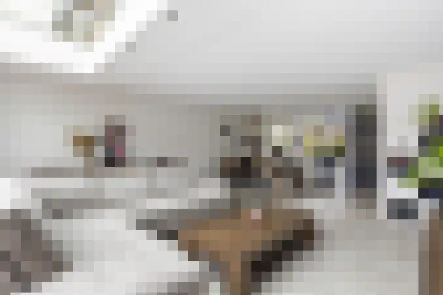 Bovenkerkweg 86 Montfoort thumbnail 8