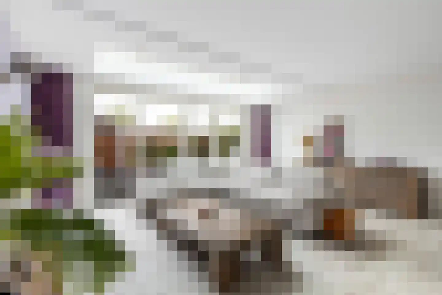 Bovenkerkweg 86 Montfoort thumbnail 9