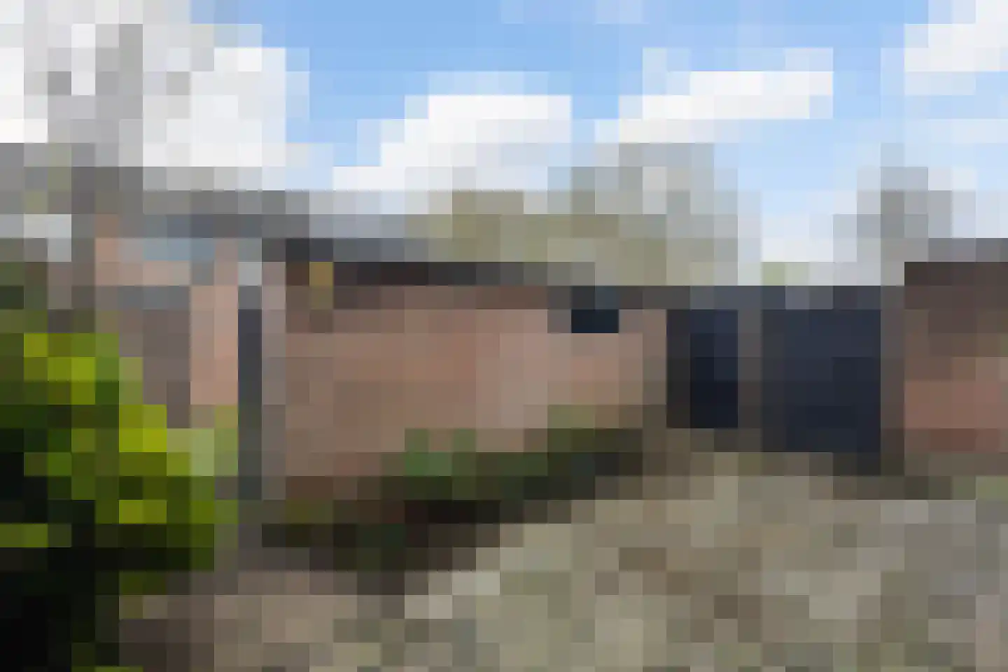 Bovenkruier 16 Puttershoek thumbnail 36