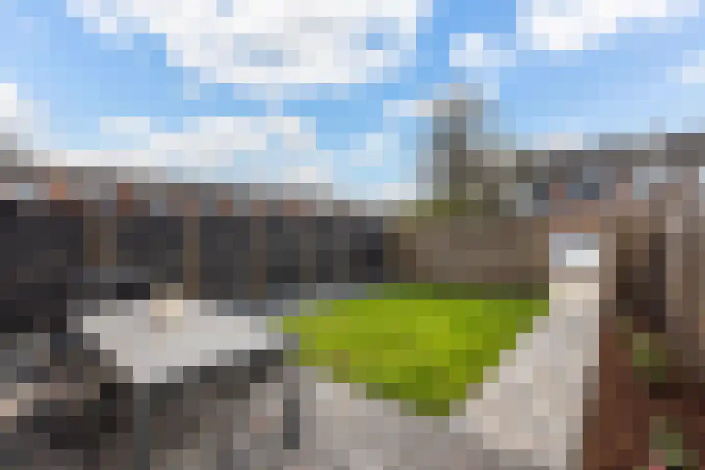 Bovenkruier 16 Puttershoek thumbnail 40