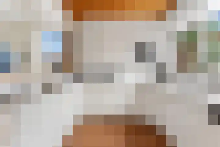 Bovenkruier 2 Nieuw-Lekkerland thumbnail 13