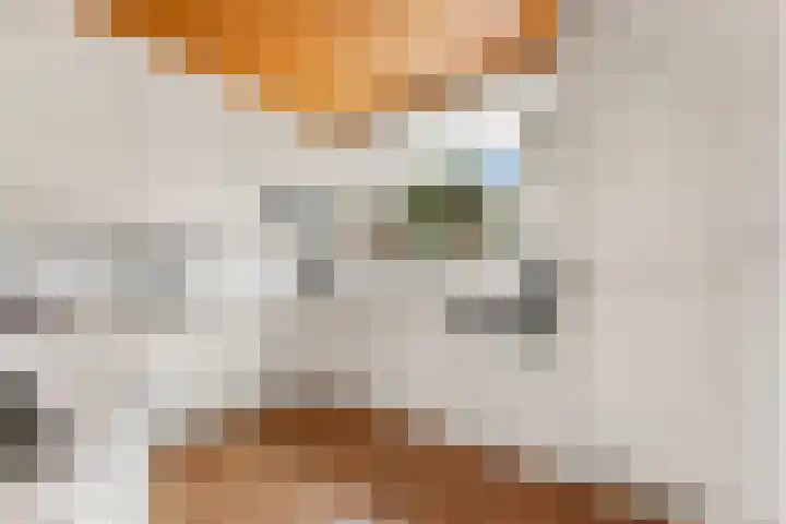 Bovenkruier 2 Nieuw-Lekkerland thumbnail 15