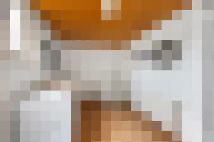 Bovenkruier 2 Nieuw-Lekkerland thumbnail 16