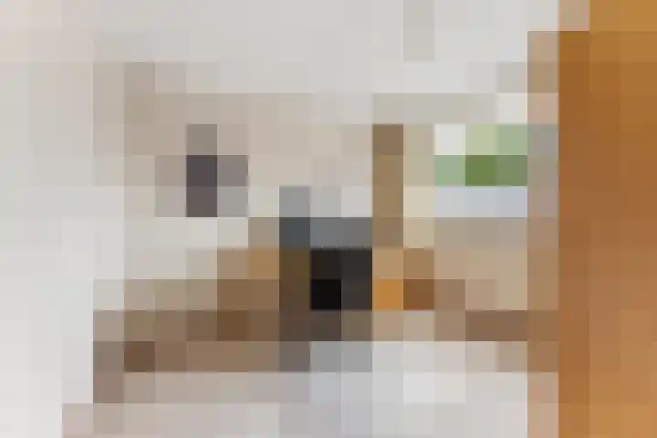 Bovenkruier 2 Nieuw-Lekkerland thumbnail 23