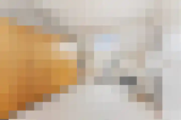 Bovenkruier 2 Nieuw-Lekkerland thumbnail 31