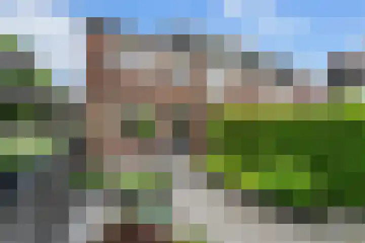Bovenkruier 2 Nieuw-Lekkerland thumbnail 32