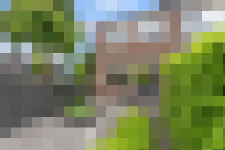 Bovenkruier 2 Nieuw-Lekkerland thumbnail 33