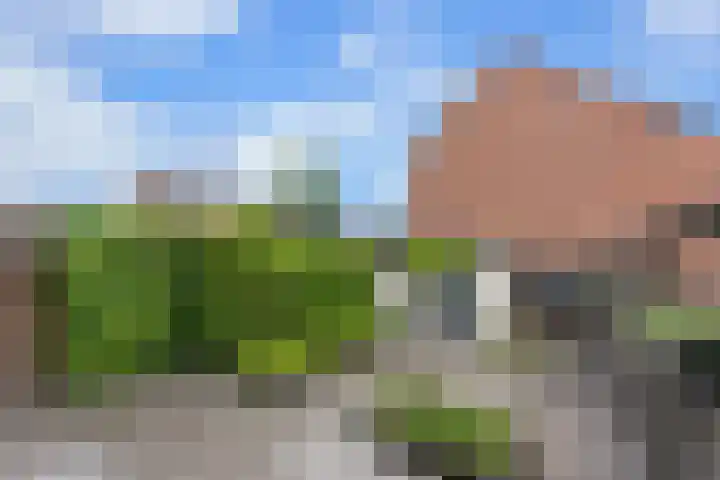 Bovenkruier 2 Nieuw-Lekkerland thumbnail 34