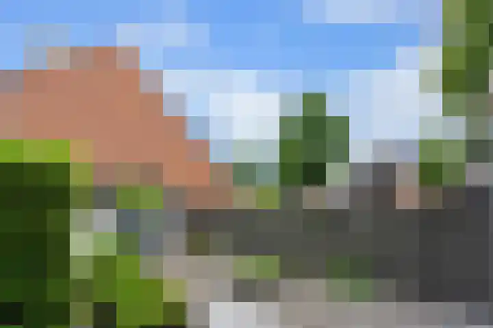 Bovenkruier 2 Nieuw-Lekkerland thumbnail 35
