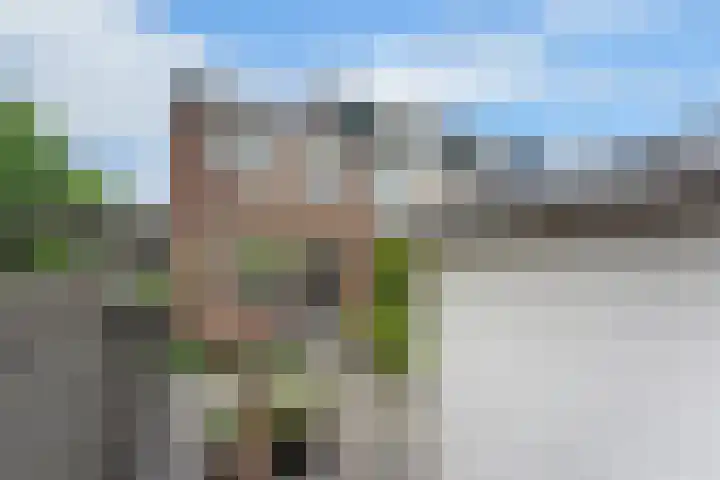 Bovenkruier 2 Nieuw-Lekkerland thumbnail 37