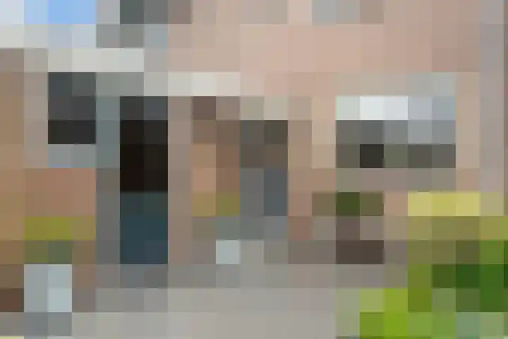 Bovenkruier 2 Nieuw-Lekkerland thumbnail 38